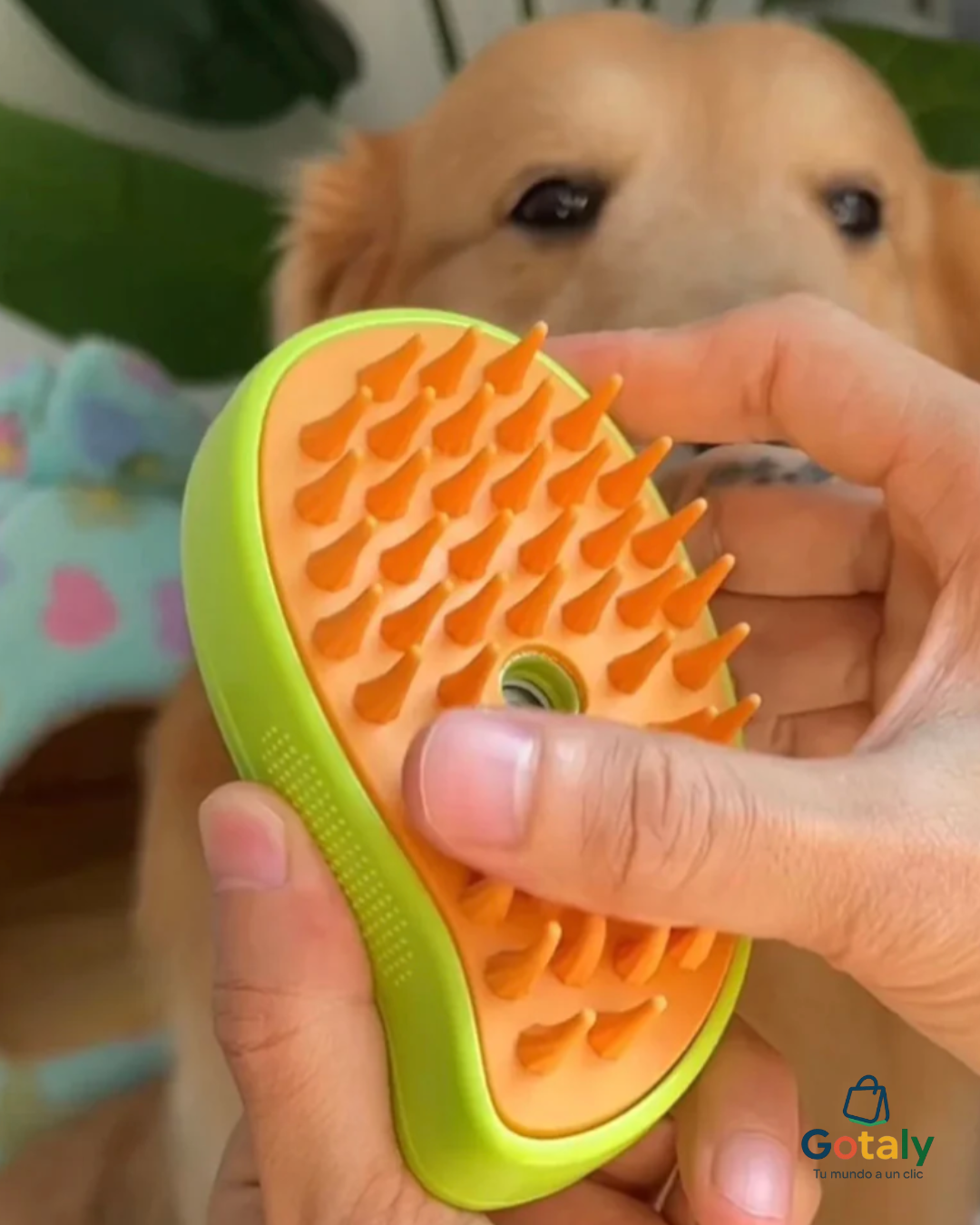 Cepillo De Vapor Portátil Para Mascotas